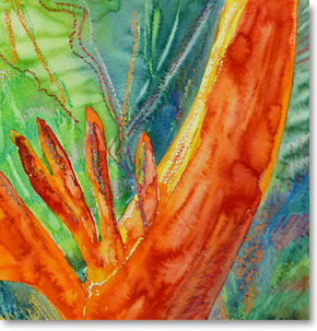 Aquarelas